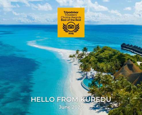 Hello From Kuredu Maldives June 2025