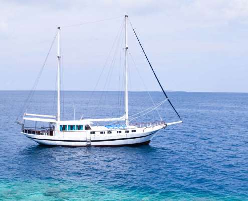cruise at kuredu resort & spa maldives