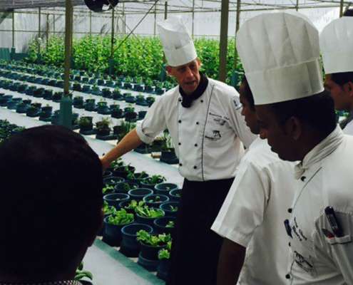 greenhouse_kuredu1600x900 Sustainable Practices at Kuredu Maldives
