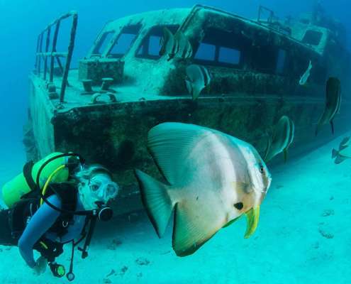 Kuredu Maldives Express Wreck Dive