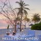 Kuredu Maldives Hello From GM News