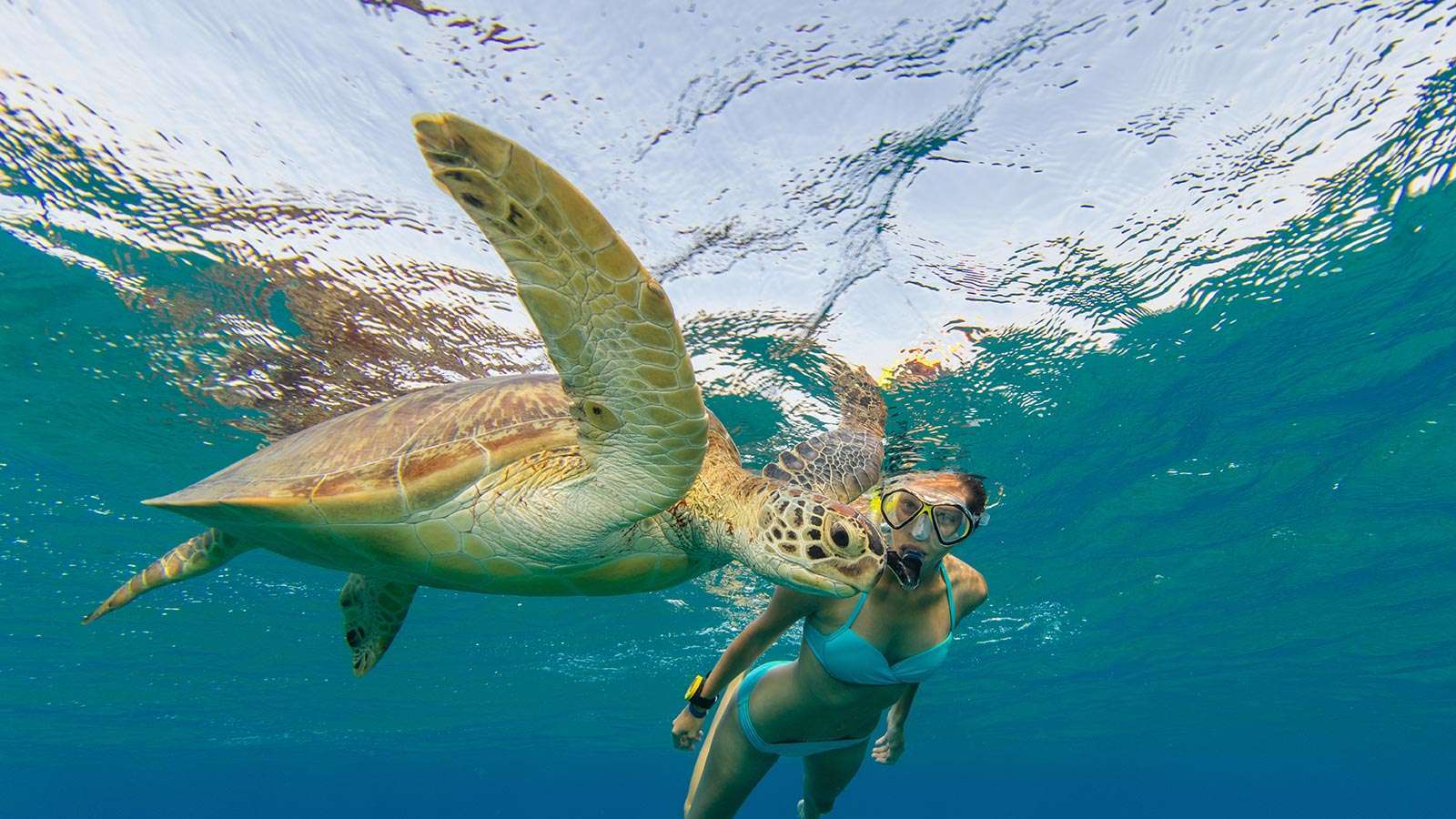 Snorkelling Kuredu Snorkelling Maldives